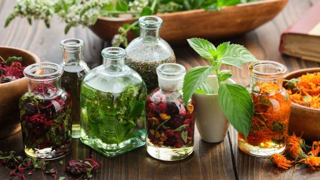 Ces 4 plantes médicinales oubliées pourraient bien changer votre santé