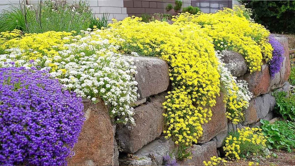 Ces 9 plantes transforment un jardin ordinaire en œuvre d’art vivante