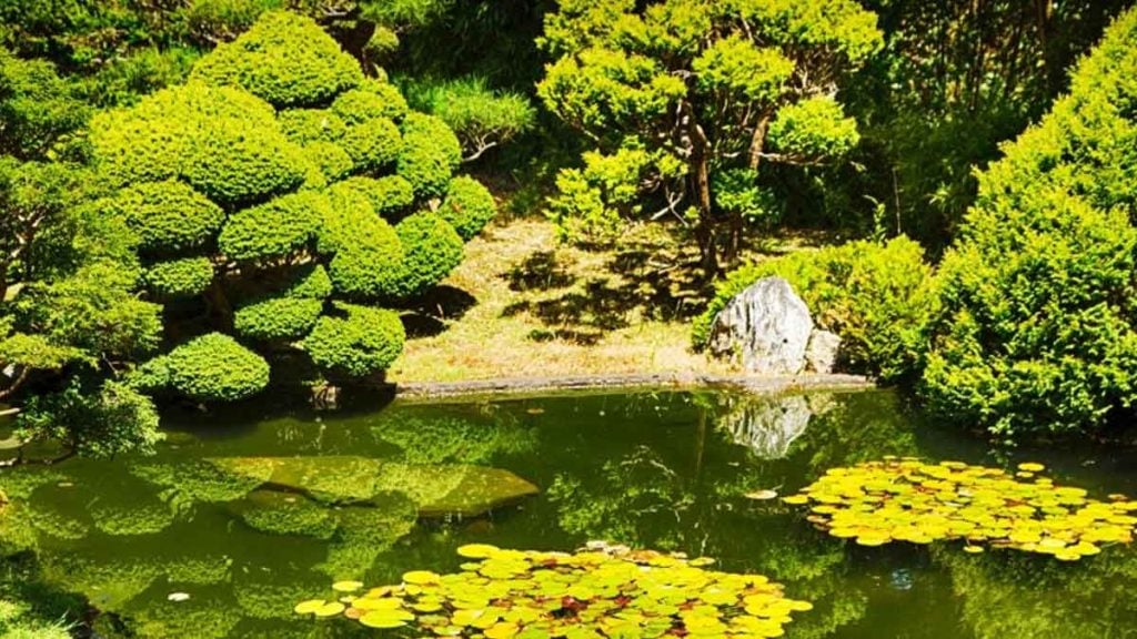 En Seine-et-Marne, ce jardin japonais ouvre enfin ses portes pour ses 30 ans