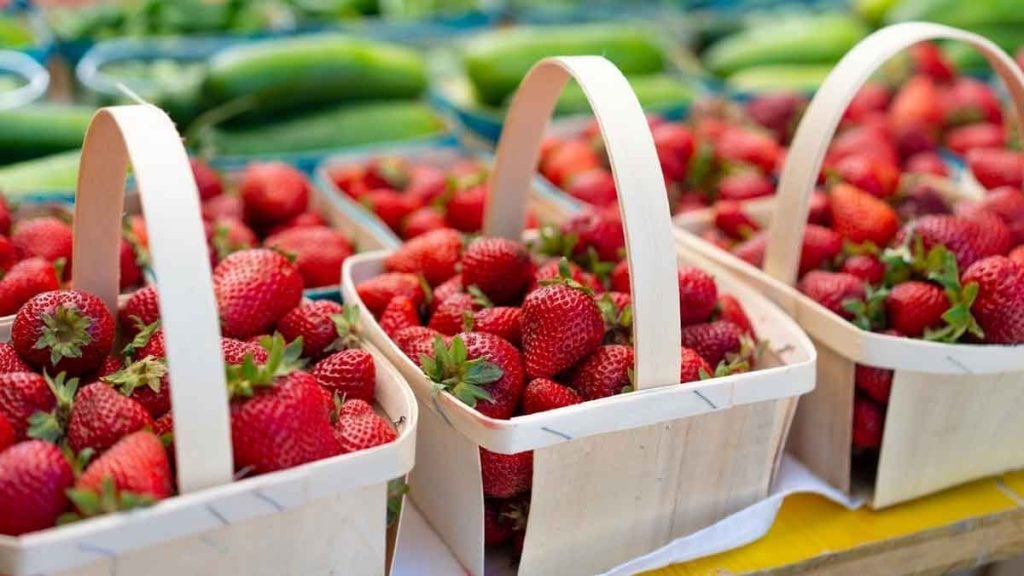 Fraises et pesticides  l’astuce des 3 indices sur l’étiquette pour savoir si vos fruits sont contaminés