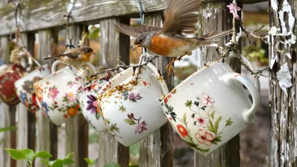 Pourquoi ces tasses sur les clôtures font sensation au potager en avril