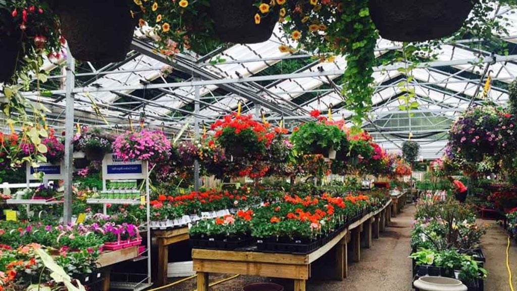 Remportez 150 € à dépenser dans une célèbre jardinerie !