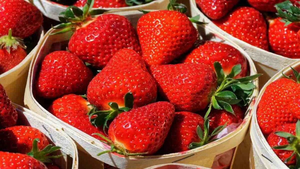 fraises